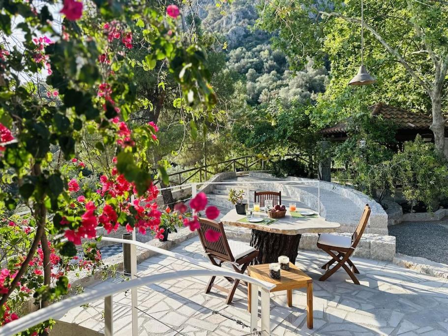 Elia Junior Suite In Epidavros With Shared Pool نيا إيبيدافروس المظهر الخارجي الصورة